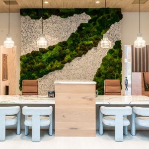 Lumen Briarcliff | Atlantic Residential